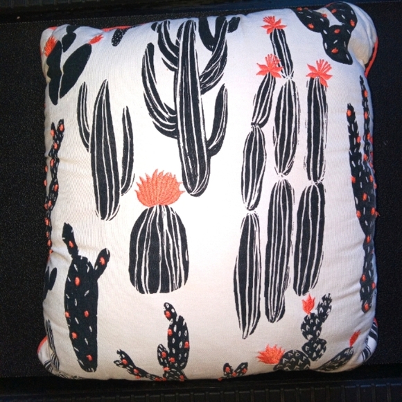 Room Essentials Other - 4/$15 Decorative Throw Pillow Cactus 18"×18" Pink, Black, White